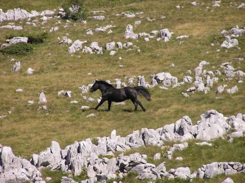 Nationalpark Nördlicher Velebit 6